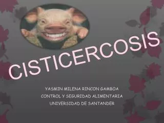 cisticercosis
