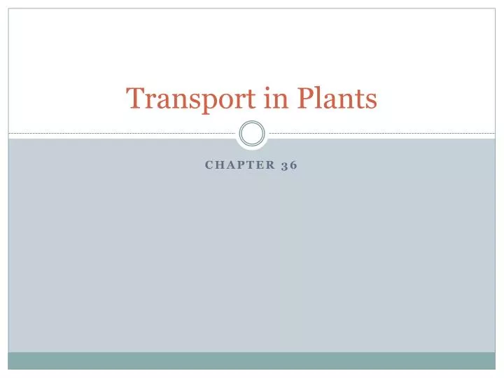 transport in plants