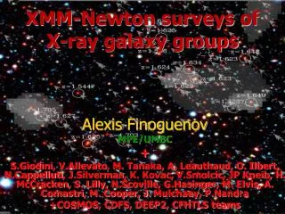 XMM-Newton surveys of X-ray galaxy groups