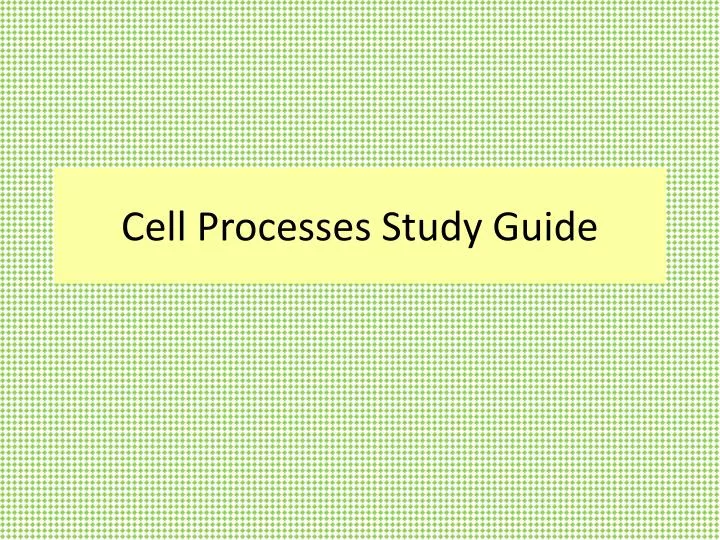 cell processes study guide