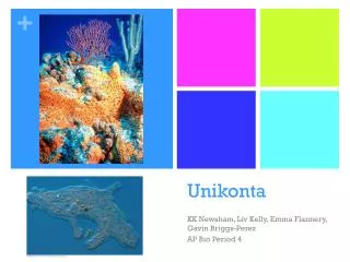 unikonta