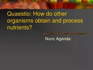 Quaestio: How do other organisms obtain and process nutrients?
