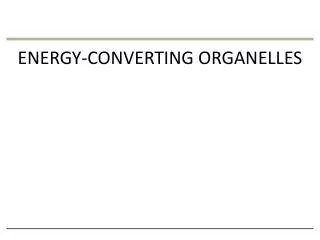 ENERGY-CONVERTING ORGANELLES