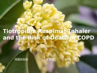 Tiotropium Respimat Inhaler and the Risk of Death in COPD