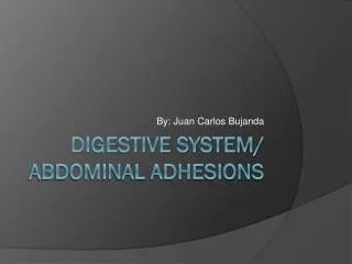 Digestive system/ abdominal adhesions