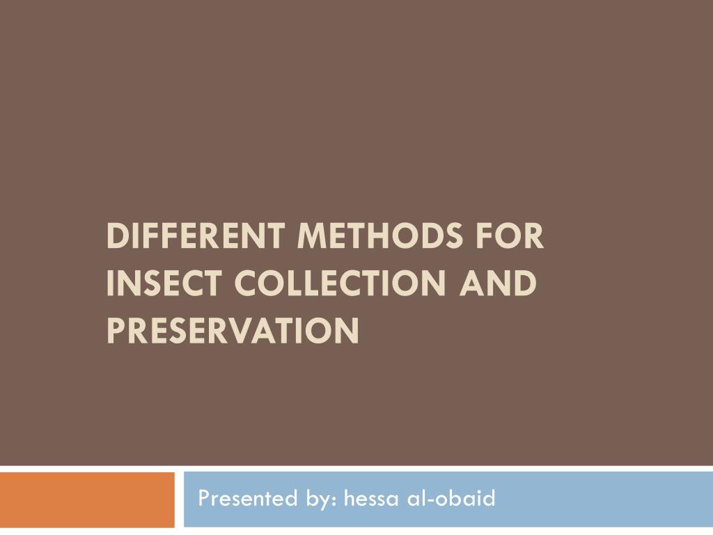 PPT - Different methods for insect collection and preservation ...