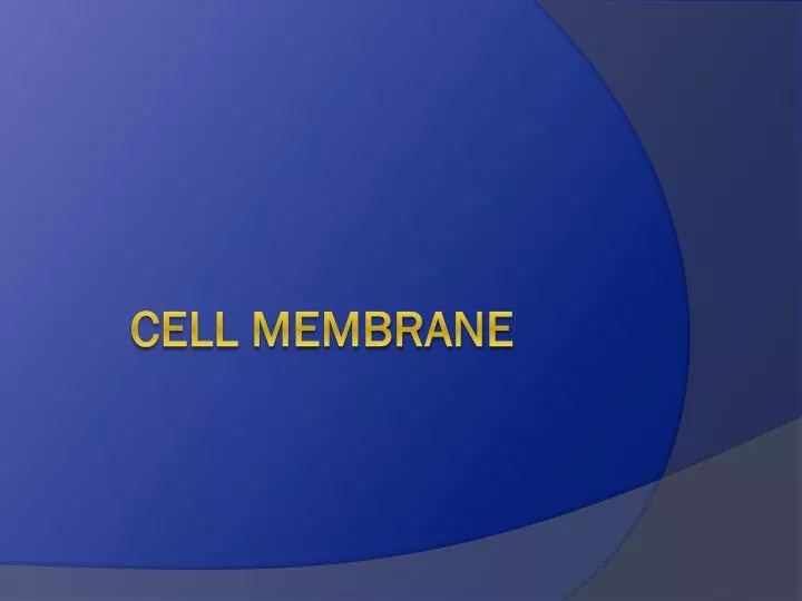 PPT - Cell Membrane PowerPoint Presentation, free download - ID:2097098