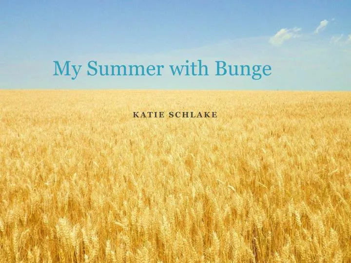 my summer with bunge