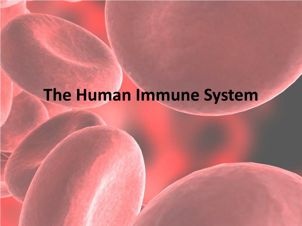 PPT - The Human Immune System PowerPoint Presentation, free download ...