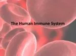The Human Immune System - slide 1