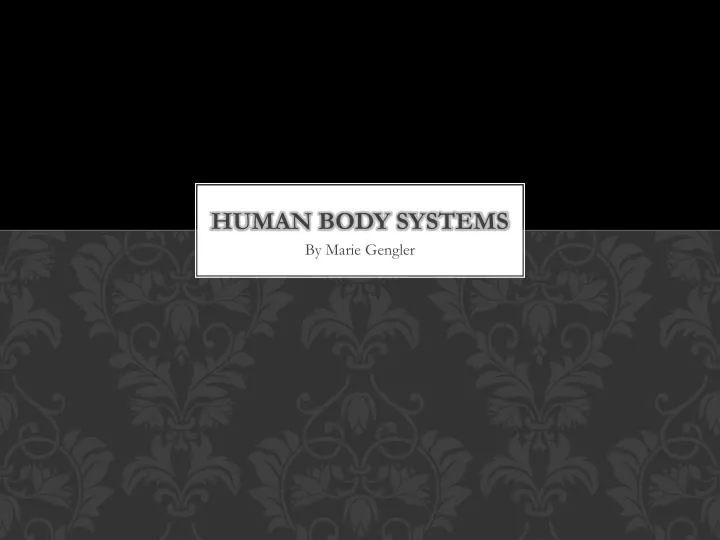 human body systems