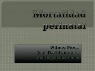 mortalidad perinatal