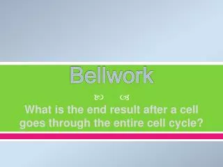 bellwork