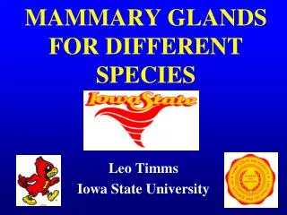 MAMMARY GLANDS FOR DIFFERENT SPECIES