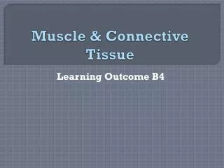 Muscle &amp; Connective Tissue