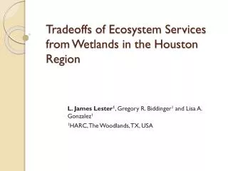 Tradeoffs of Ecosystem Services from Wetlands in the Houston Region