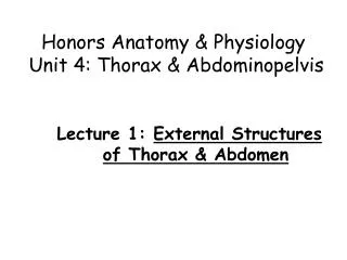 Honors Anatomy &amp; Physiology Unit 4: Thorax &amp; Abdominopelvis