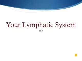 Your Lymphatic System