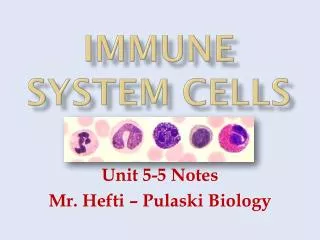 Immune System Cells