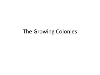 The Growing Colonies