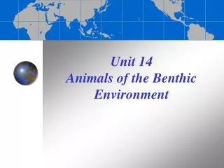 Unit 14 Animals of the Benthic Environment