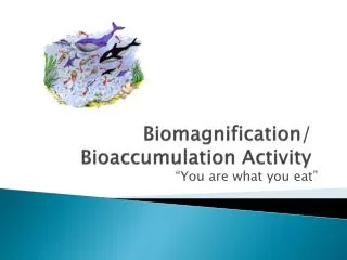 Biomagnification / Bioaccumulation Activity