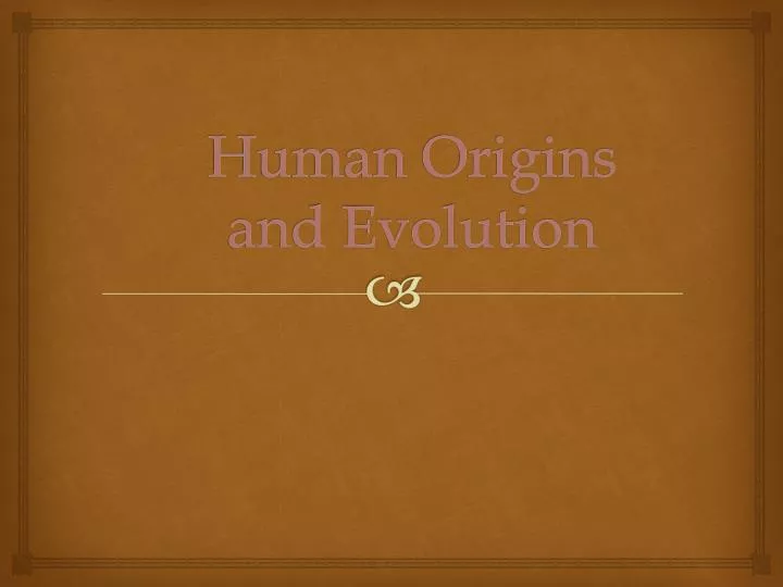 human origins and evolution
