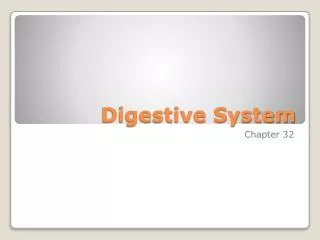 digestive system
