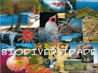 biodiversidade