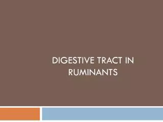 digestive tract in Ruminants