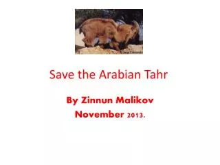 Save the Arabian Tahr