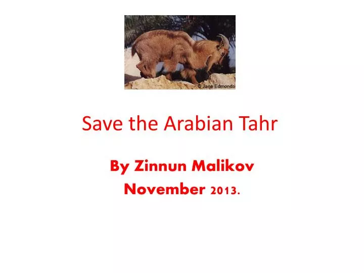 save the arabian tahr