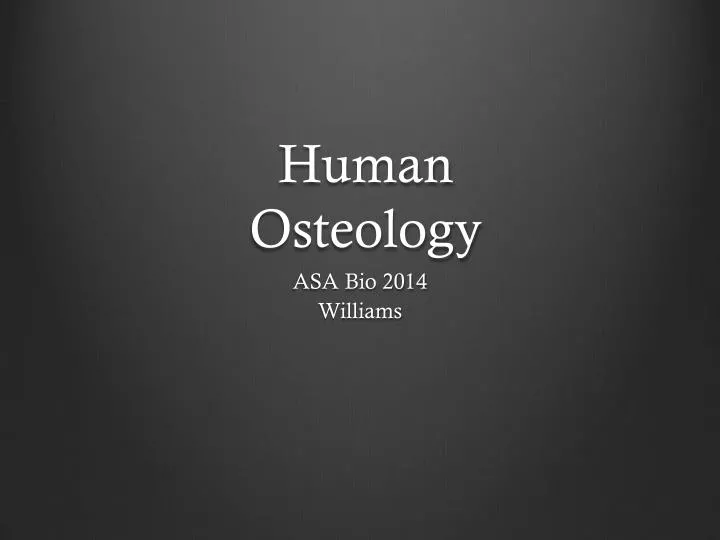 human osteology