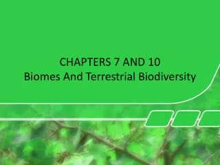 CHAPTERS 7 AND 10 Biomes And Terrestrial Biodiversity