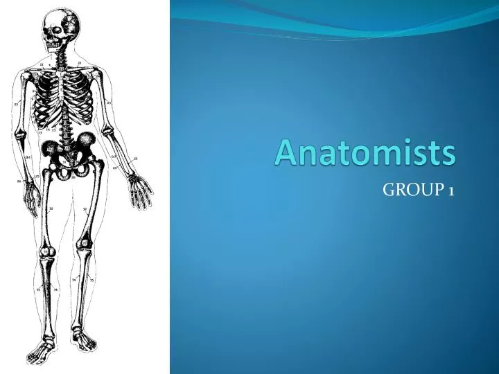 anatomists