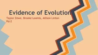 evidence of evolution