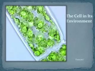 the cell in its environment