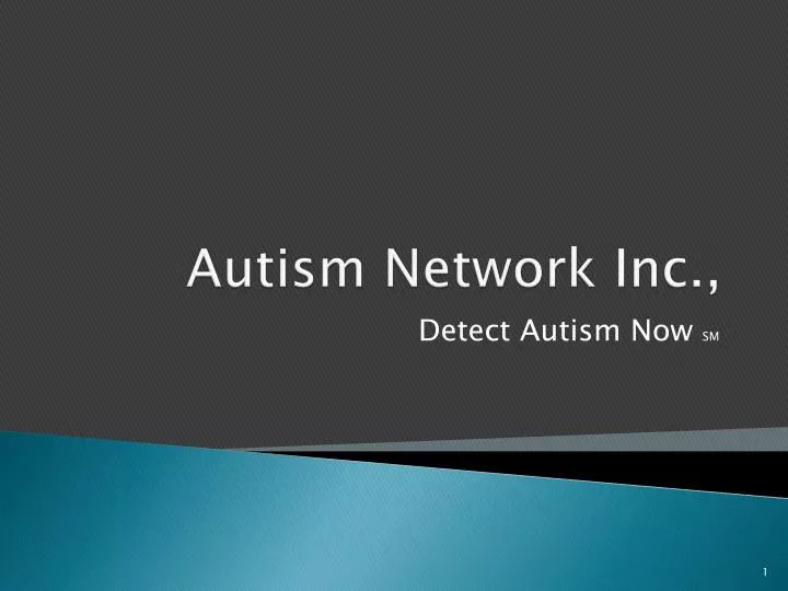 autism network inc