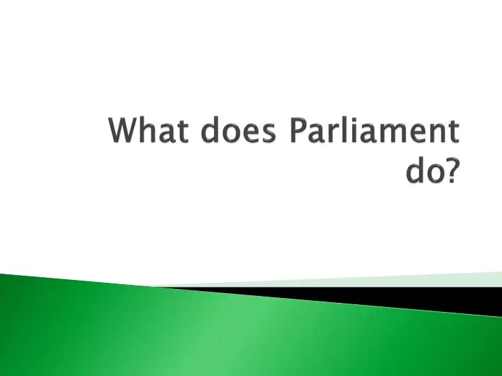 what does parliament do