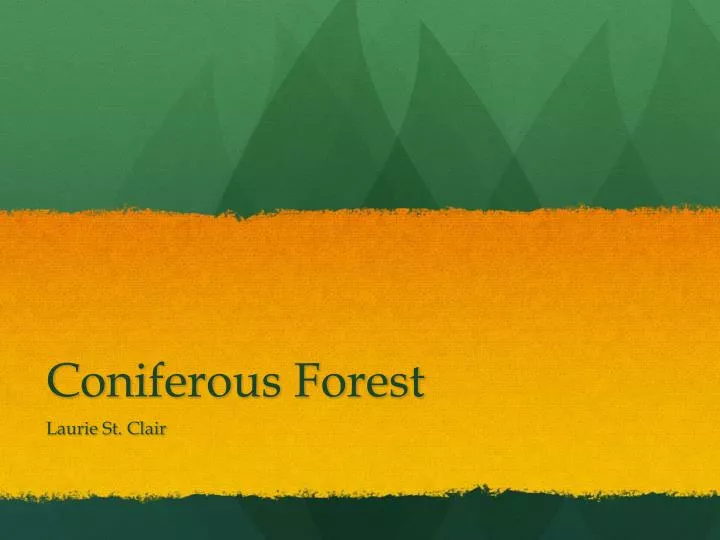 coniferous forest