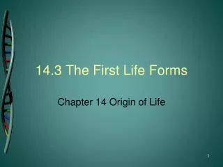 14.3 The First Life Forms