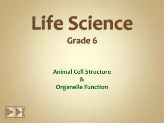 Life Science Grade 6