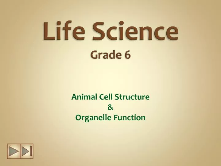 life science grade 6