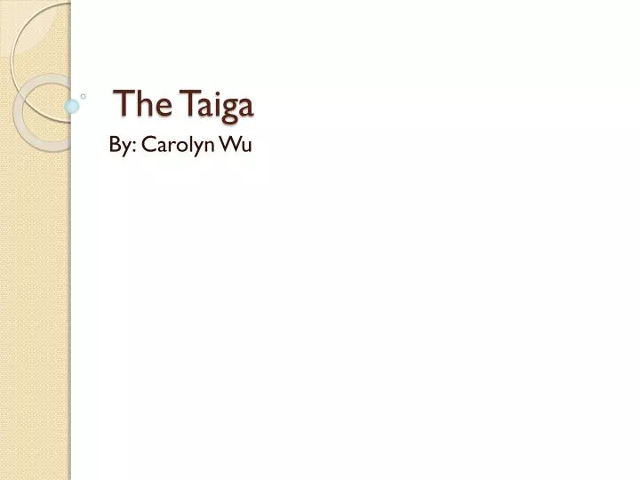 the taiga