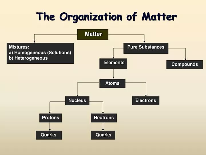 the organization of matter