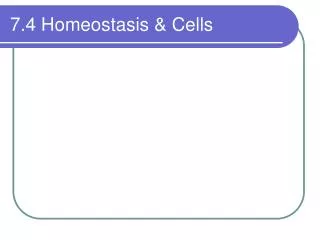 7.4 Homeostasis &amp; Cells