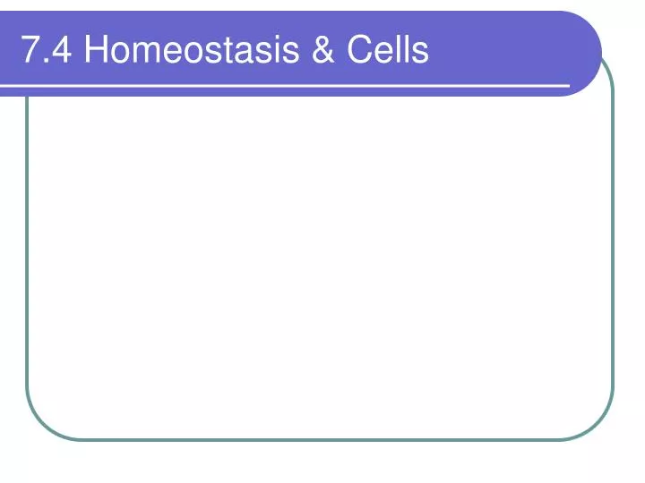 7 4 homeostasis cells