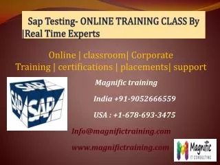 Sap Testing- ONLINE TRAINING CLASS By - Real Time Experts