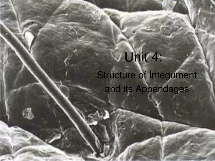 unit 4