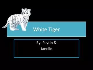 White Tiger